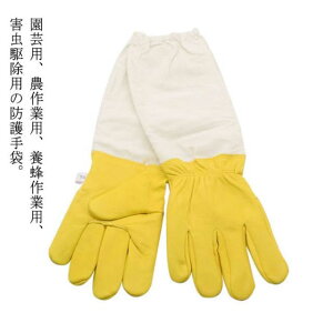 {Ip Q쏜 _炩rv  {Ip | v Ɨp OO[u I Ȋ 쏜 K[fjOO[u  Ɨp jp 悯 