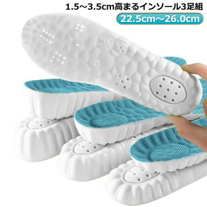 2.5cm gAbv  22.5cm`27.5cm 1.5cm 2.5cm ~ fB[X Ռz u[c Y 3.5cm V[NbgC\[ 3g Xj[J[  ʋC r r d C\[