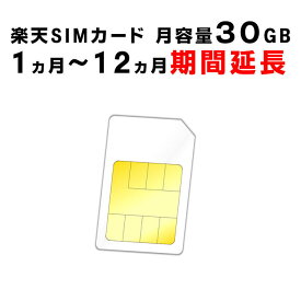 【1ヵ月から12ヵ月ご利用延長】楽天　SIMカード　月容量30GB　ご利用期間延長　Rakuten