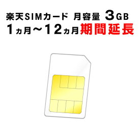 【1ヵ月から12ヵ月の期間延長】楽天　SIMカード　月容量3GB　ご利用期間延長　Rakuten