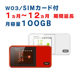 【1ヵ月から12ヵ月延長】モバイルWiFi　W03　ご利用期間延長