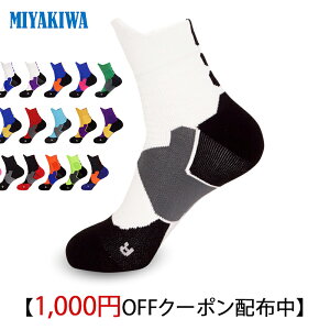 y3w1000~OFFN[|ōň1667~ zMIYAKIWA tBbVO \bNX Y X|[c\bNX ~߃g[jO qlCȖhLRہ@ ʋCfB[X AEghA E