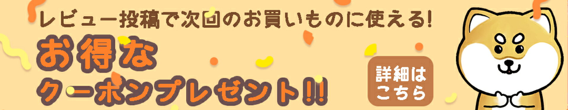 オトクなクーポンプレゼント
