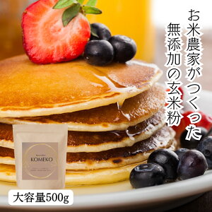 _yVLO1ʊlI^y At^[SALE 45%OFF zy 3,000~1,650~@eʃpbN 500g z ĕ ĕ 邿 _ Y R͔| _ƒ Oet[ ߘa6N 쌧 Mtg 