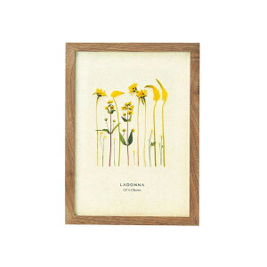 Mtg tHgt[ ʐ^ ʐ^   t[VR  i` rO CeA AVANTI AoeB Vv 2L  v[g