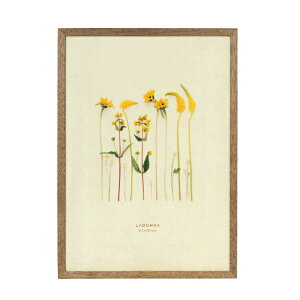 tHgt[ ʐ^ ʐ^   t[VR  i` rO CeA AVANTI AoeB Vv A4TCY a Y G   Mtg v[g