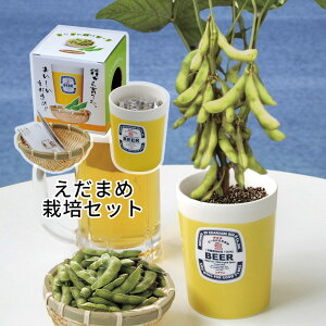 枝豆 セット Diy 工具の人気商品 通販 価格比較 価格 Com