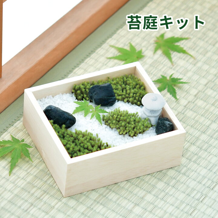 楽天市場 苔盆 苔 コケ テラリウム 手作り 工作 キット 苔庭 スナゴケ インテリア グリーン ハンドメイド 日本庭園風 自作 簡単 おしゃれ 趣味 父 母 簡単 テレワーク 在宅ワーク 仕事 癒し 作る ギフト 贈り物 プレゼント 公式 Toffyショップ楽天市場店