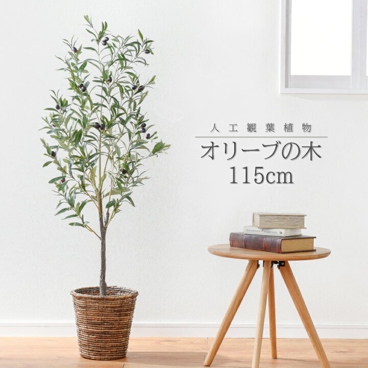 楽天市場 インテリア 造花 人工 観葉植物 大型 おしゃれ オリーブの木 樹 フェイク グリーン アーティフィシャルフラワー 鉢 ポットカバー 付き セット テラス 玄関 オフィス 医院 サロン ホテル 飲食店 枯れない 腐らない 衛生的 在宅勤務 癒し 公式 Toffyショップ