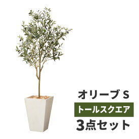 楽天市場 フェイクグリーン 高品質の通販