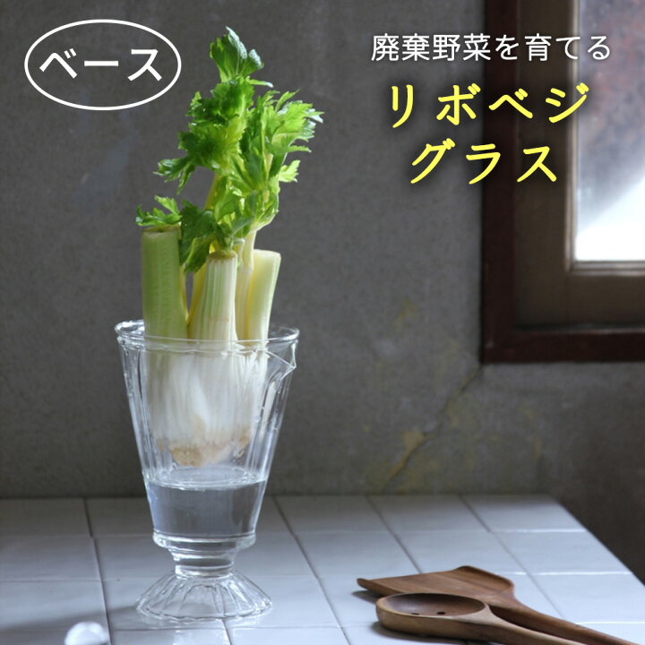 楽天市場 リボベジ ガラス 再生野菜 園芸 水耕栽培 リボーンベジタブル ネギ 豆苗 さつまいも 大根 ニンジン キャベツ 小松菜 かぶ 水菜 ニンニク ブロッコリー レタス アボカド 玉ねぎ フラワーベース エコ サステナブル 野菜 趣味 再収穫 ギフト プレゼント おしゃれ 楽天市場 リボベジ ガラス 再生野菜 園芸 水耕栽培 リボーンベジタブル ネギ 豆苗 さつまいも 大根 ニンジン キャベツ 小松菜 かぶ 水菜 ニンニク ブロッコリー レタス アボカド 玉ねぎ フラワーベース エコ サステナブル 野菜 趣味 再収穫 ギフト プレゼント おしゃれ