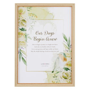 tHgt[ ʐ^ A4 ʐ^   t[ u|p u^ Ǌ| rO CeA i`J[ a oYj EFfBO  킢 蕨 i 