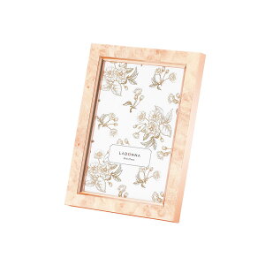 tHgt[ ʐ^ ʐ^   L AeB[N c[g t[ Vv   a j 蕨 v[g ʉ  Mtg hi LADONNA