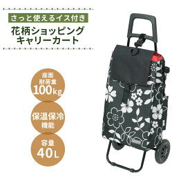 ショッピングカート イス付き 保温 保冷 買い物カート キャリー 大容量40L エコバッグ アウトドア キャンプ カート 折りたたみ 椅子 コンパクト 収納 常備 おしゃれ デザイン かわいい 畳める 2輪タイヤ フェス 屋外