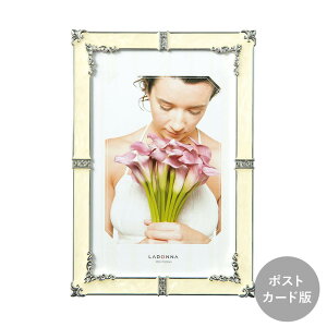 �u���C�_���t���[�� MJ62-P �ʐ^���� �t�H�g�t���[�� �ʐ^���� �ʐ^���� �u���C�_�� ������ �����j�� �E�F�f�B���O �w�փ��`�[�t �|�X�g�J�[�h �V���v�� �z���C�g ���ꂢ �����i �s���N ����