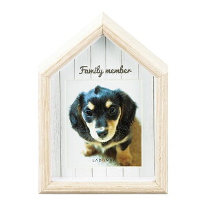 tHgt[ ybgp O a ʐ^ ʐ^   rO t[ CeAt[ ؐ  Vv  i u  Mtg v[g hi LADONNA