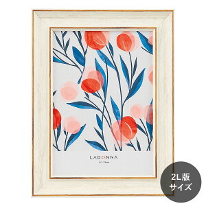 tHgt[ ʐ^ ʐ^   t[tHgX^h CeAt[ ؖڕ 2LTCY i`eCXg zCg uE  u | Vv i 蕨 