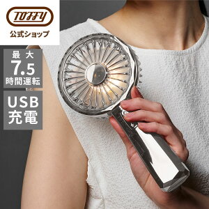 Mtg ԈȊO pI LED nfBt@ @ 莝 AEghA 킢   OWA[ USB [d gtB[ Lumiere ~G[   MǑ΍ ʒ |[^u