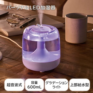 g   RpNg 600mL ~Xg Iׂ 킢 LEDCg[h Of[VCg USBd Type-C  ΍ ^ @ ItBX Q rO q Vv 