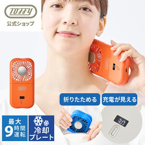 y|Cg10{z Toffy pv[g nfBt@ ܂肽߂ ₽ v[g 莝 @ nfB RpNg lbNXt@  px ^ ȒP ^ t@ USB[d Type-