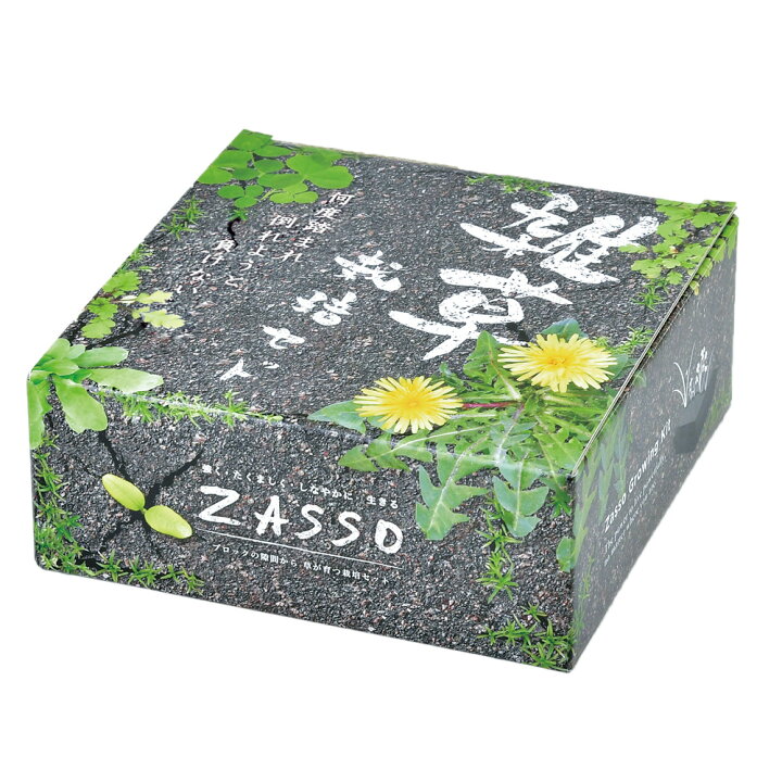 楽天市場 P10倍 クーポン配布中 26日まで 雑草栽培セット 栽培キット 草 植物 観賞用 コンクリート風 ユニーク 面白い 趣味 子ども 自由研究 簡単 インテリア グリーン 在宅ワーク 自宅 勤務 育てる 癒し ギフト 贈り物 プレゼント Toffy Shop Online 楽天市場店