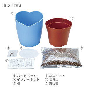空色の花ネモフィラ栽培セット