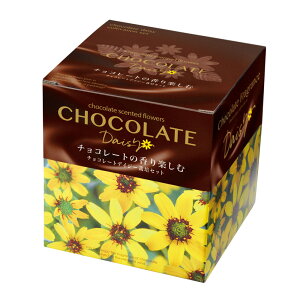 チョコレートデイジー栽培セット