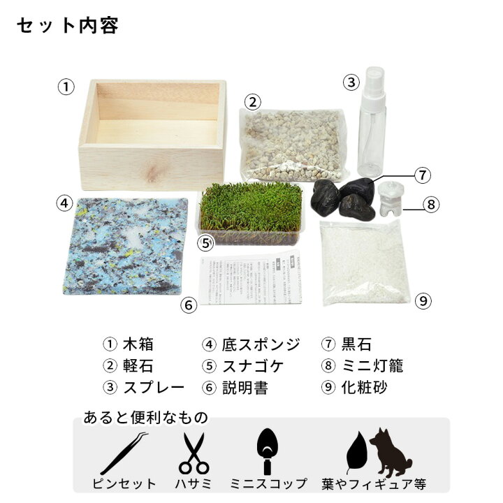 10円 超歓迎 父の日 苔盆 苔 コケ テラリウム 手作り 工作 キット 苔