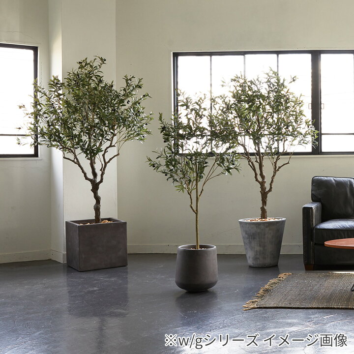 楽天市場 観葉植物 大型 オリーブの木 鉢カバー セット 高品質 アーティフィッシャルフラワー 造花 人工観葉植物 フェイクグリーン インテリア オフィス ホテル サロン 医院 飲食店 ショップ 自宅 リビング 寝室 枯れない 臭わない 水不要 衛生的 おしゃれ テレワーク