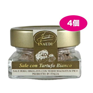 gt 30g x 4Zbg CiEfB INAUDI C^A sGeB gt \g q}≖ gt Mtg v[g