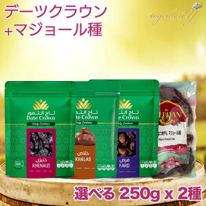Gg[Ń|Cg10{Iׂf[c250gx2 f[c f[cNE  AupB AT NiCW J[X t@[h L@}W[ hCt[c sgp
