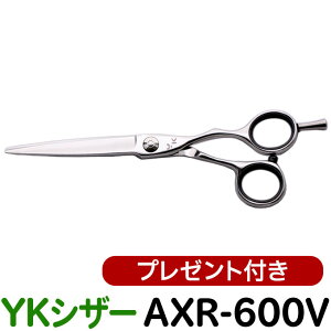 U nT~ YKVU[ AXR-600ViV[g 6.0C`jet e et ͂ VU[ wAJbg V[gVU[ ~j {u vp͂  JbgoT~zybg yCPz