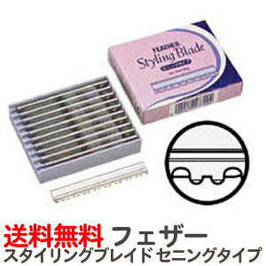  tFU[ X^COU[V[Y֐n X^COuCh ZjO^CvyƖp wAJbgpU[ {䓁 ݂ J~\  T vpyTGz