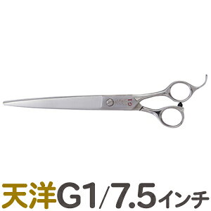 天洋の通販 価格比較 価格 Com 天洋の通販 価格比較 価格 Com