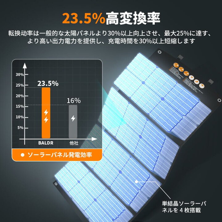 楽天市場】【☆決算セール 先着10名様限定☆特別価格16,800円】BALDR 
