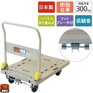 󍁍H ۈ L[tbgu[Lt NP-300DXL-B  ᑛ ύډ׏d300kg ԗ֌a 130mm ^ nh܂ݎ tbgu[Lt׎ ^ Ɩp J[g 182025