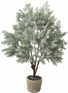 NX}Xc[ Xm[V_[c[|bg t lHϗtA A[eBtBVt[ tFCNO[ Xܑ POPPY |s[