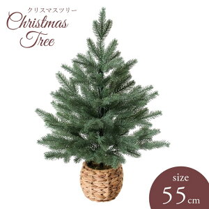 NX}Xc[ oXPbgNX}Xc[ |bgt 55cm lHϗtA A[eBtBVt[ tFCNO[ Xܑ POPPY |s[