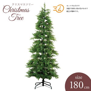 NX}Xc[ ApC~bNXc[ 180cm ^ gȒP lHϗtA A[eBtBVt[ tFCNO[ Xܑ POPPY |s[