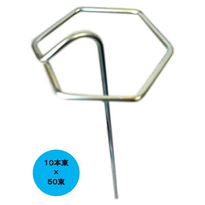 ZpV[g bL 10{×50 500{ }` tB hV[g sDz  Œ 3N[g | _ ƒ؉ _Ǝ 쎑