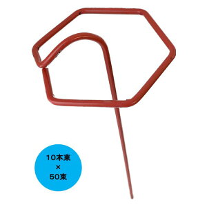 ZpV[g  10{×50 500{  }` tB hV[g sDz  Œ | _ ƒ؉ _Ǝ 쎑