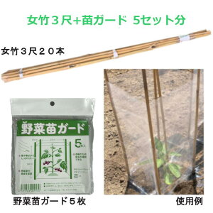 ؕcK[hZbg |3 20{ ؕcK[h5 ؕc5{ ƒ؉ ؕc h h 琬 |