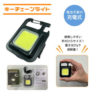 �A���I AR-4280 �L�[�`�F�[�����C�g ���y�� 27g �{��20×45×61/mm �[�d�� �J���i�r�t �w�ʃX�^���h 4��ނ̓_�����[�h 1��