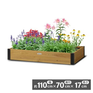 ^JV[ xW؃t[ H17cm VGT-RB01 g ƒ؉ Ԓd y@ll菤iz