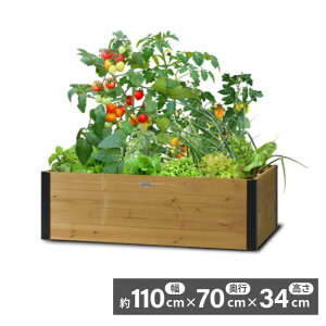 ^JV[ xW؃t[ H34cm VGT-RB02 g ƒ؉ Ԓd y@ll菤iz