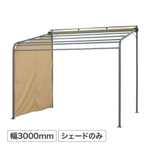 ^JV[ N[T}[I[jO |[` EH[^[K[h 3000p TChVF[h n3Nۏ VF[ĥ y@ll菤iz