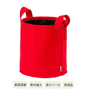 ^JV[ xWobO O[ VGT-B01R 30cm×s30cm×30cm tFgv^[ ƒ؉ 4975149597741 y@ll菤iz