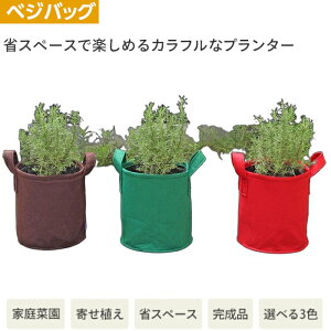 ^JV[ xWobO uE O[ bh 30cm×s30cm×30cm tFgv^[ ƒ؉ y@ll菤iz