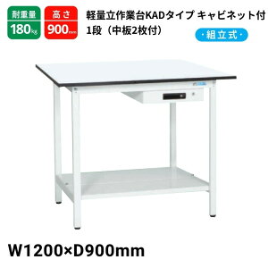 TJG yʍƑ KAD^Cv Lrlbg1it 2t X^_[h^Cv ω׏d180kg KAD-129ATMW 1200×900×900