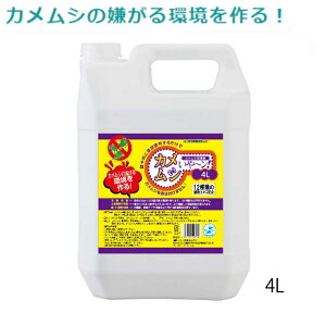 yubNtCf[ԃGg[Ń|Cg10{z JV JV` t̃^Cv AGLX R RJr 4L Y